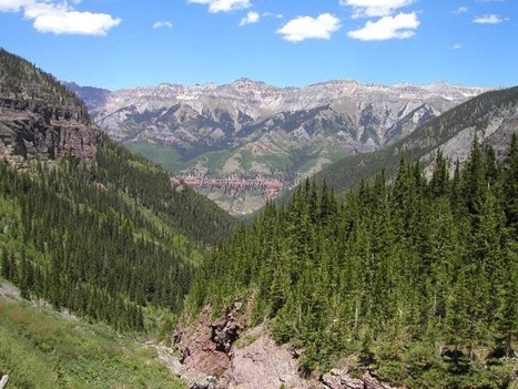 Mass Murder and the Science of Empathy | Empathy Movement Magazine | Scoop.it