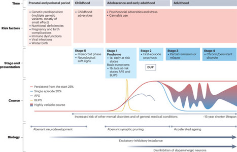 Schizophrenia | Nature Reviews Disease Primers | NeuroImmunology | Scoop.it