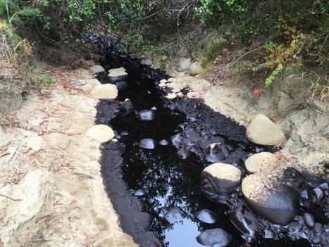 $1.6 Million Settlement Over 2016 OIl Spill Behind Ventura | Coastal Restoration | Scoop.it
