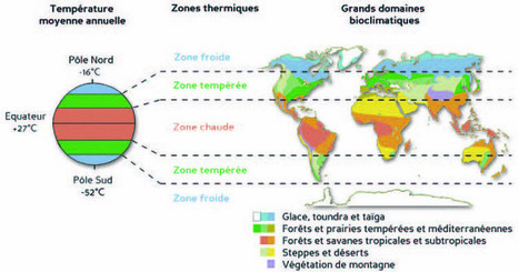 29 notions-clefs : changement climatique et biodiversité | Veille Éducative - L'actualité de l'éducation en continu | Scoop.it