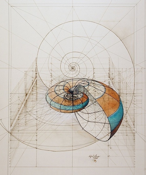 Coloring Book Celebrates Mathematical Beauty of Nature with Hand-Drawn Golden Ratio Illustrations | IELTS, ESP, EAP and CALL | Scoop.it