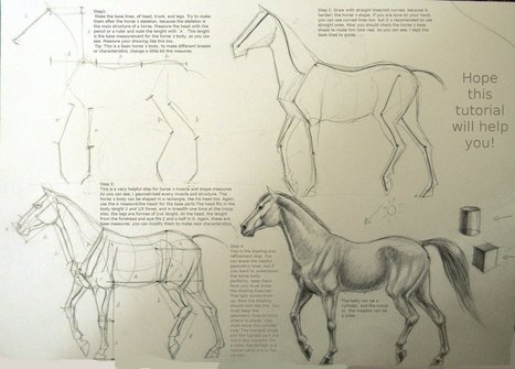 Horse drawing tutorial | Drawing and Painting Tutorials | Scoop.it