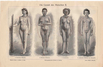 1894 shape of woman original antique anatomy print human form | Antiques & Vintage Collectibles | Scoop.it