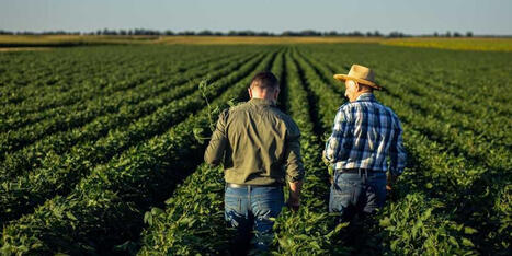 'Betrayal': Farmers rip Trump for undermining American workers while 'gifting Argentina' - AlterNet | Backstabber Watch | Scoop.it