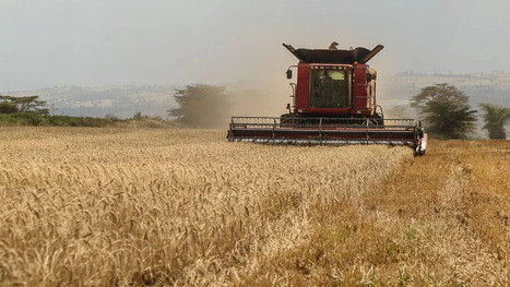 L'ECHO DEMETER : Ces nouveaux pays &eacute;mergents qui vont fa&ccedil;onner la production agricole de demain&nbsp; | L'ECHO DEMETER | Scoop.it
