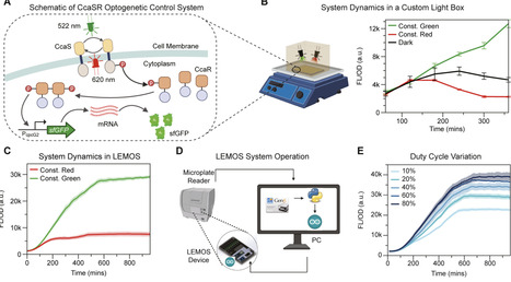 Closed-Loop Optogenetic Control in a Microplate Reader | asb | RMH | Scoop.it