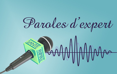 INRA - Prion, Alzheimer, Parkinson: des interrogations en suspens | Life Sciences Universit&eacute; Paris-Saclay | Scoop.it