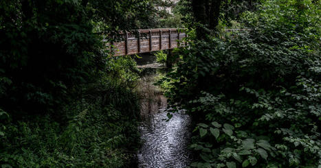 Dans la vallée de la chimie du Rhône, des cours d’eau largement contaminés aux "polluants éternels" | Les Colocs du jardin | Scoop.it