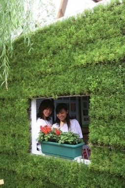 Des toitures vertes pour réduire la pollution à Pékin | Immobilier | Scoop.it