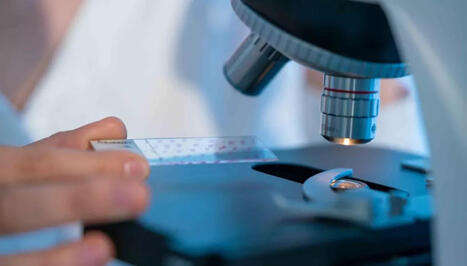 L'Opinion Indépendante - Toulouse : une innovation du laboratoire RESTORE met l’intelligence artificielle au service des mitochondries | Les laboratoires du CNRS Occitanie Ouest dans la presse | Scoop.it