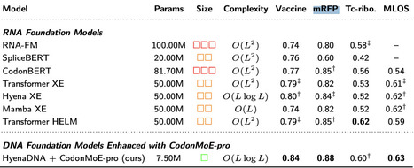 CodonMoE: DNA Language Models for Codon-Dependent mRNA Prediction | bft | RMH | Scoop.it