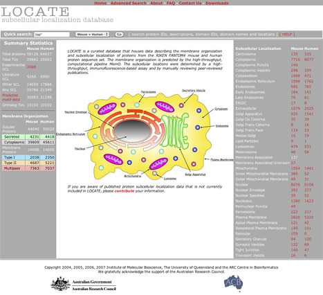 LOCATE - A Mammalian Protein Localization Database | bioinformatics-databases | Scoop.it