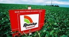 Des OGM inoffensifs ? | Toxique, soyons vigilant ! | Scoop.it
