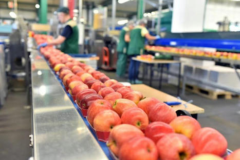 MAROC : Agro-alimentaire : Une valeur ajoutée de 30 milliards de dirhams au PIB | CIHEAM Press Review | Scoop.it