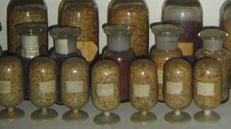 Maatiaiskasvit | 1Uutiset - Lukemisen t&auml;hden | Scoop.it