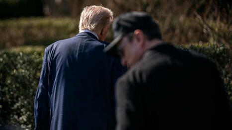 Epstein files: Allies tried to broker Trump-Musk peace but a personal allegation complicated things | CNN Politics | 1Uutiset - Lukemisen tähden | Scoop.it