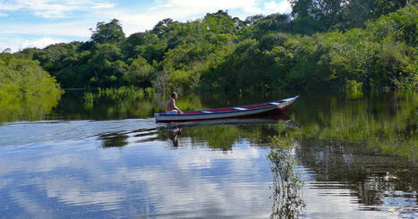 Selon une &eacute;tude, pour sauver l&rsquo;Amazonie, il faudrait d&rsquo;abord prot&eacute;ger ce qu&rsquo;il en reste | Biodiversit&eacute; - @ZEHUB on Twitter | Scoop.it