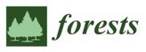 Forests, Vol. 4, Pages 710-729: Indicators and Determinants of Small-Scale Bamboo Commercialization in Ethiopia | &Eacute;cosyst&egrave;mes Tropicaux | Scoop.it