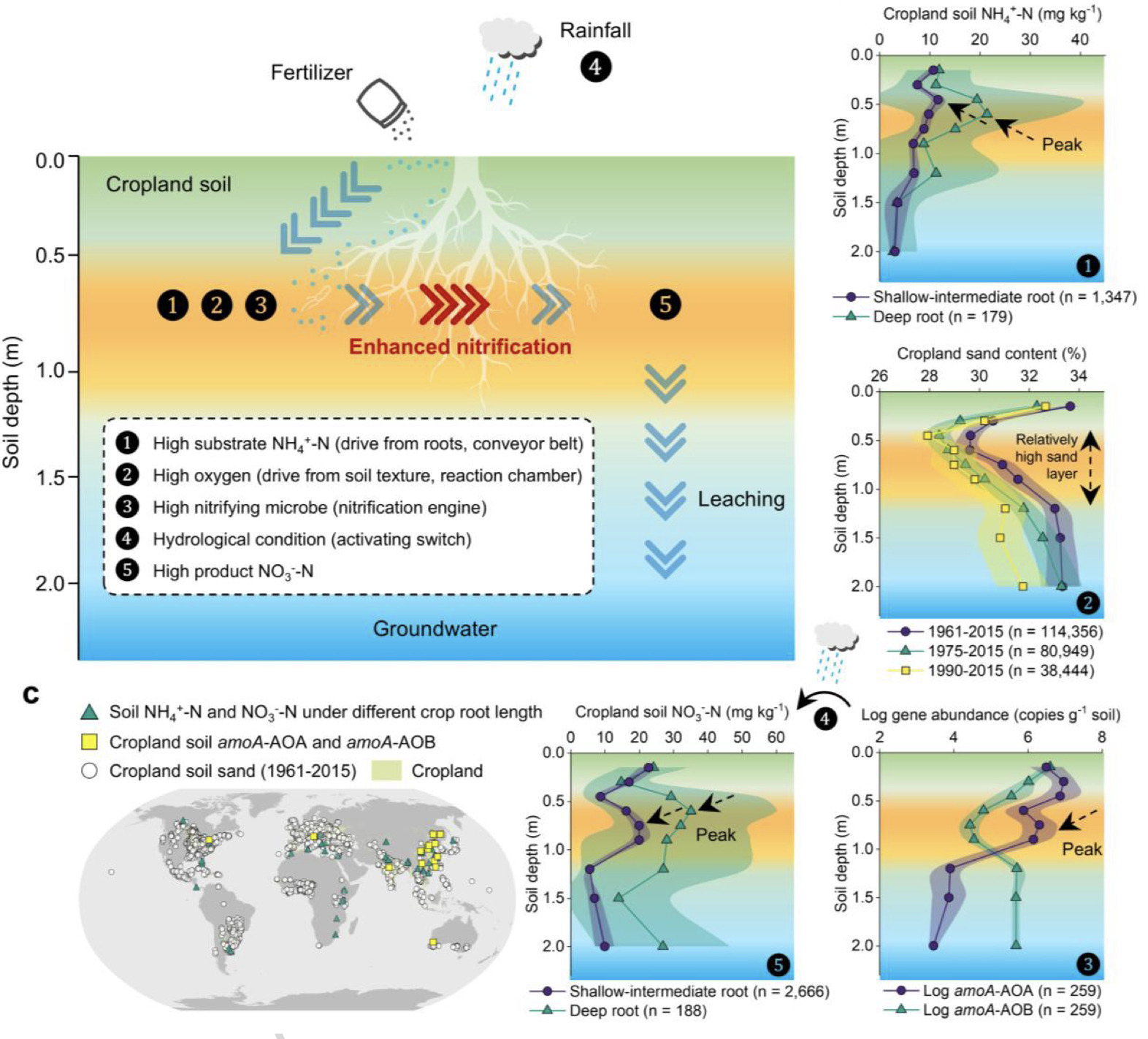 Preventing subsoil enhanced nitrification to sa...