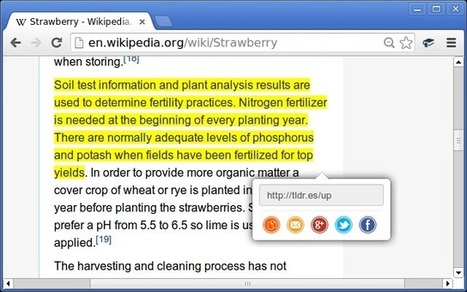 TLDRify. Citer et partager du texte depuis un site web | Les outils de la veille | information analyst | Scoop.it