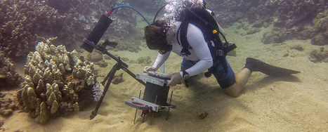 Researchers Develop Novel Microscope to Study the Underwater World | Scripps Institution of Oceanography, UC San Diego | Coastal Restoration | Scoop.it