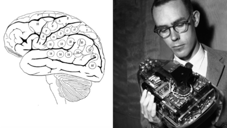 ANALYSE / Intelligences num&eacute;riques ou comment l&rsquo;IA remplace nos neurones | Innovation et transformation p&eacute;dagogique | Scoop.it