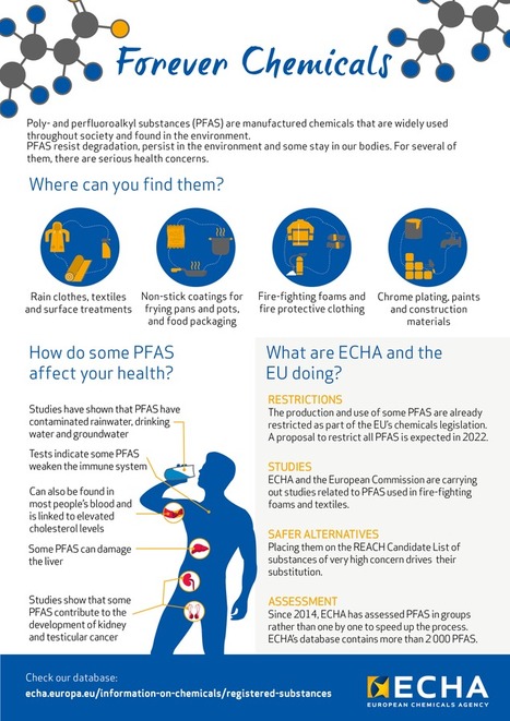 Les comités scientifiques de l’ECHA soutiennent de nouvelles restrictions des PFAS | ECHA | Prévention du risque chimique | Scoop.it