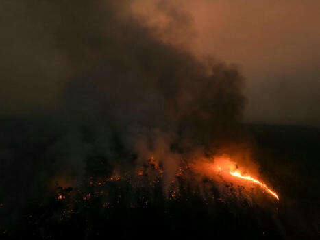 La surface brûlée en Amazonie en 2024 deux fois supérieure à la moyenne historique | Biodiversité - @ZEHUB on Twitter | Scoop.it