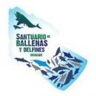 Uruguay va por el Santuario de Ballenas /OCC | MOVUS | Scoop.it