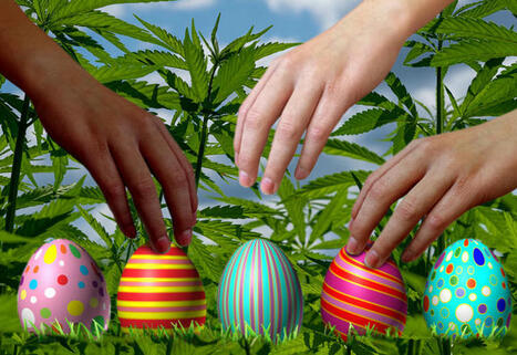 Hiding Easter Eggs Full of Weed Throughout a City - The Weedster Bunny Gets Busted by the Police | Cannabis.Net | Scoop.it