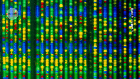 Personalized gene editing helped one baby: can it be rolled out widely? | Genetic Engineering in the Press by GEG | Scoop.it