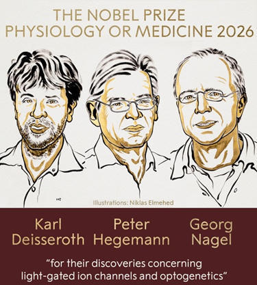 Premio Nobel de Fisiolog&iacute;a o Medicina 2026: Karl Deisseroth, Peter Hegemann y Georg Nagel por la optogen&eacute;tica usando canales i&oacute;nicos | Ciencia-F&iacute;sica | Scoop.it