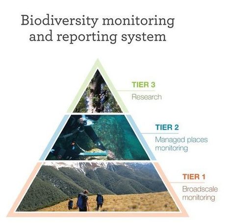DOC's monitoring and reporting system: Monitoring and reporting | Galapagos | Scoop.it