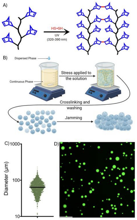 Integrating Microchannels and Flows into 3D Printable Granular Hydrogel Matrices | Brvt | RMH | Scoop.it