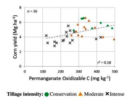 Une réponse à «Une nouvelle analyse qui valide la sensibilité et la corrélation des indicateurs de la santé des sols avec les rendements des cultures à long terme» | MOF matière organique réactive du sol | Scoop.it