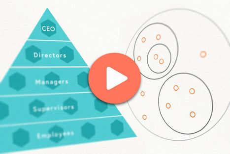 Holacracy, Explained: An Illustrated Guide to Management-Free Organizations - Page19 | Peer2Politics | Scoop.it
