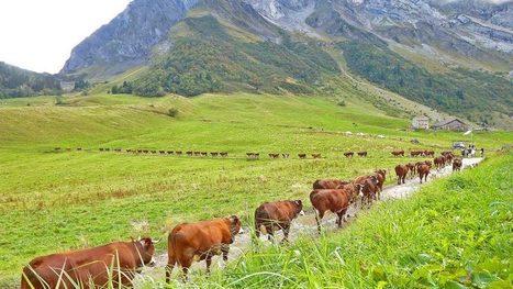 Les deux tiers des agriculteurs français risquent de ne pas être remplacés  | FRUITS ET LÉGUMES | Scoop.it