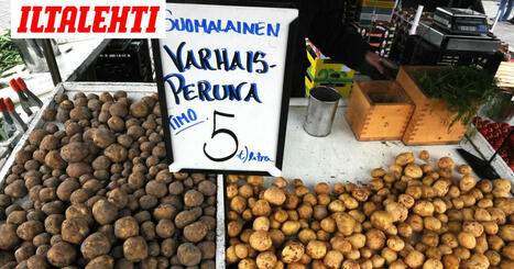 Varhaisperuna ja uusi peruna – Ethän käytä termejä väärin? | 1Uutiset - Lukemisen tähden | Scoop.it