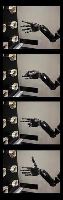 Mind Controlled Robot Arm Project | Access and Inclusion Through Technology | Scoop.it