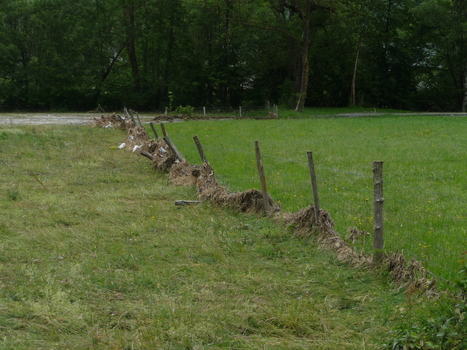 L&rsquo;&eacute;levage dans les Pyr&eacute;n&eacute;es : un sinistre qui se voit peu, et pourtant&hellip; | Vall&eacute;es d'Aure & Louron - Pyr&eacute;n&eacute;es | Scoop.it