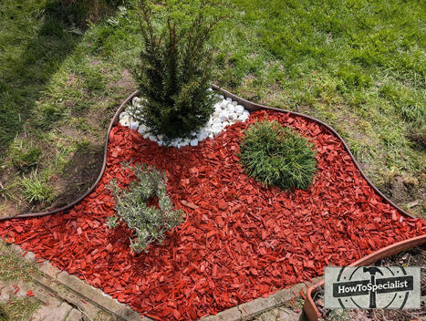 How to Make a Simple Accent Area in Your Lawn with Mulch, Stones, and Plants | Garden Plans | Scoop.it