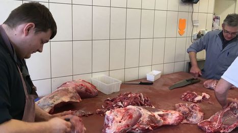 Belgique. Paliseul: la boucherie Poncelet possède son propre abattoir | La Gazette des abattoirs | Scoop.it