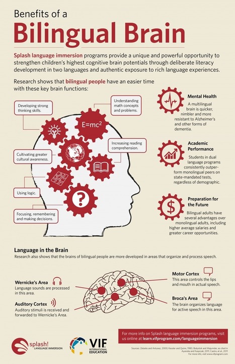 Benefits of a Bilingual Brain Infographic - e-Learning Infographics | Benefits of Bilingualism | Scoop.it