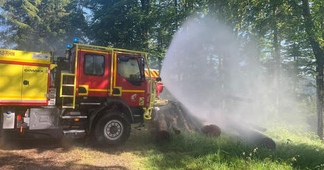 Feux de for&ecirc;t&nbsp;: dans le Bas-Rhin, les pompiers se pr&eacute;parent &agrave; faire face aux incendies - ICI | Alsace Actu | Scoop.it