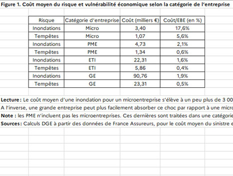 L’adaptation, clé de la résilience des entreprises face au changement climatique | Regards croisés sur la transition écologique | Scoop.it