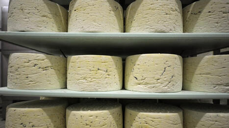 Rappel de produit&nbsp;: Intermarch&eacute;, Carrefour, Leclerc&hellip; Du fromage vendu partout en France contamin&eacute; par la Listeria | Toxique, soyons vigilant ! | Scoop.it