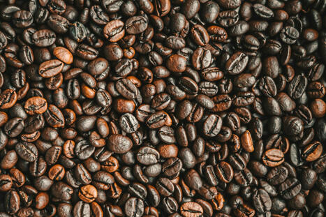 EU: How EU Deforestation Regulation could affect coffee industry | EUROPES | Scoop.it