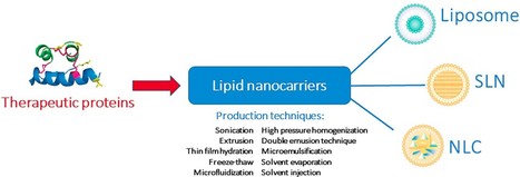 An insight on lipid nanoparticles for therapeutic proteins delivery | iBB | Scoop.it