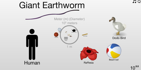 The Scale of the Universe 2 | Learning Tools | Scoop.it