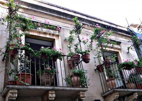 Balcony garden | 1001 Gardens | 1001 Gardens ideas ! | Scoop.it